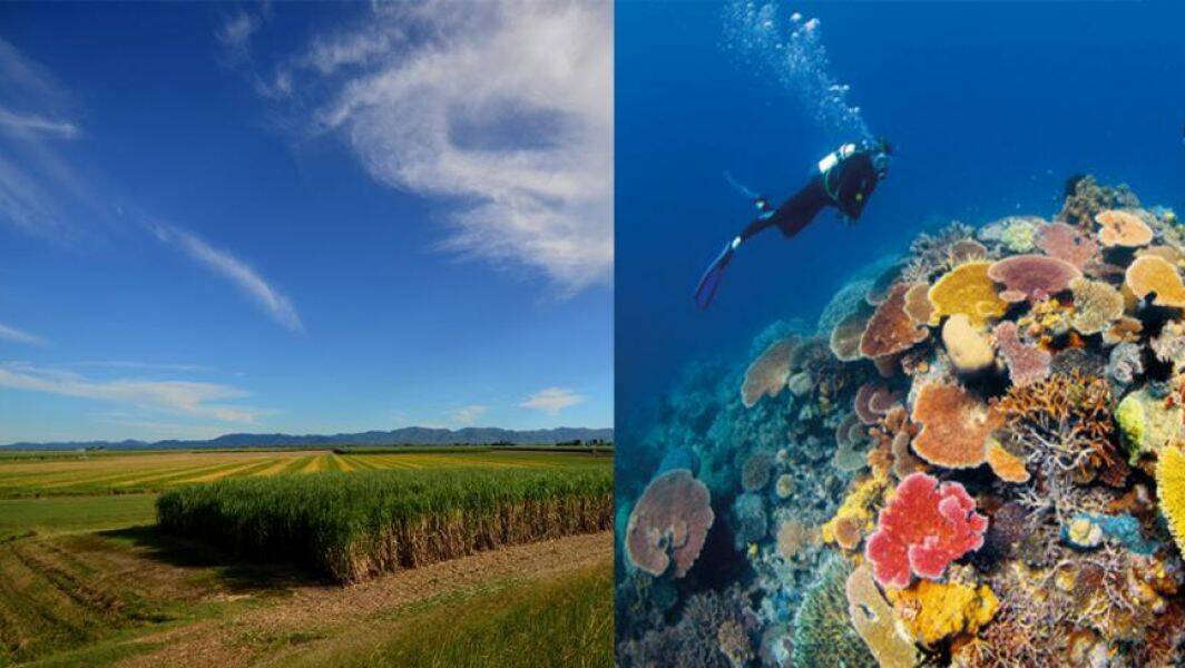 Canegrowers have dismissed claims that farmers are not doing enough to protect the Great Barrier Reef. 